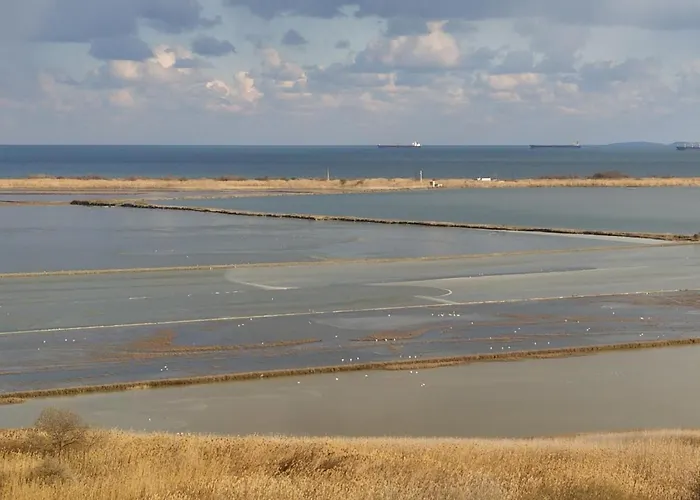 Apartamento Drago Free Parking